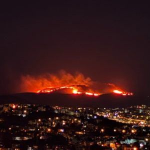 Bodrum’da Yangın Paniği: Ekipler Bölgede Müdahale Ediyor