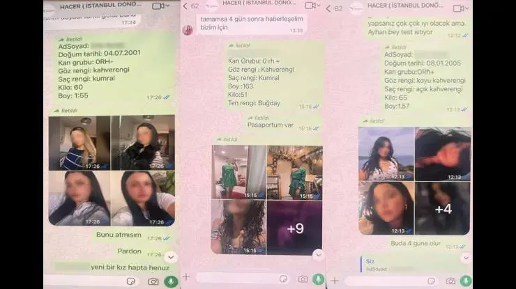 Üreme Hücresi Ticaretinde Kataloglu Seçim Skandalı