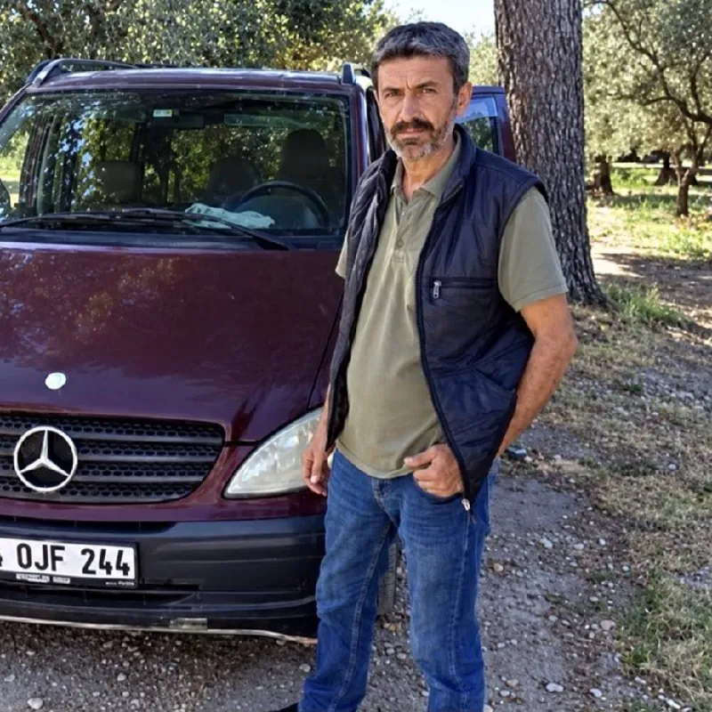 Manisa’da Zeytin Hasadı Sırasında Arı Sokması Can Aldı