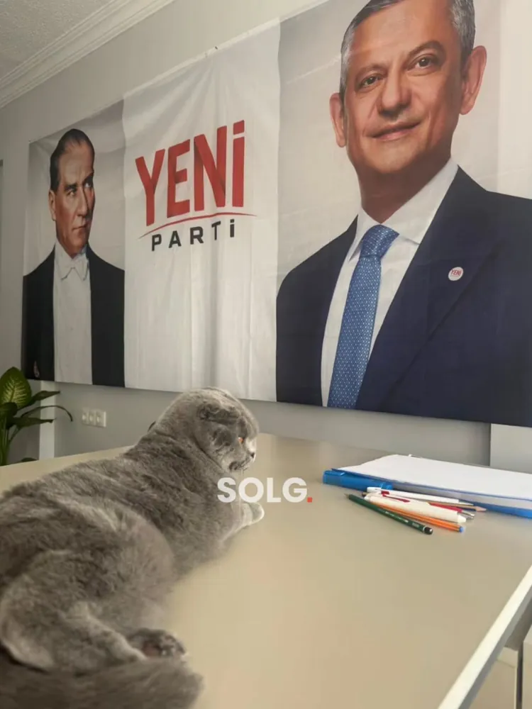 Sivas Siyasetinde Sıcak Gelişme: YENİ Parti’nin Yeni Maskotu İnci